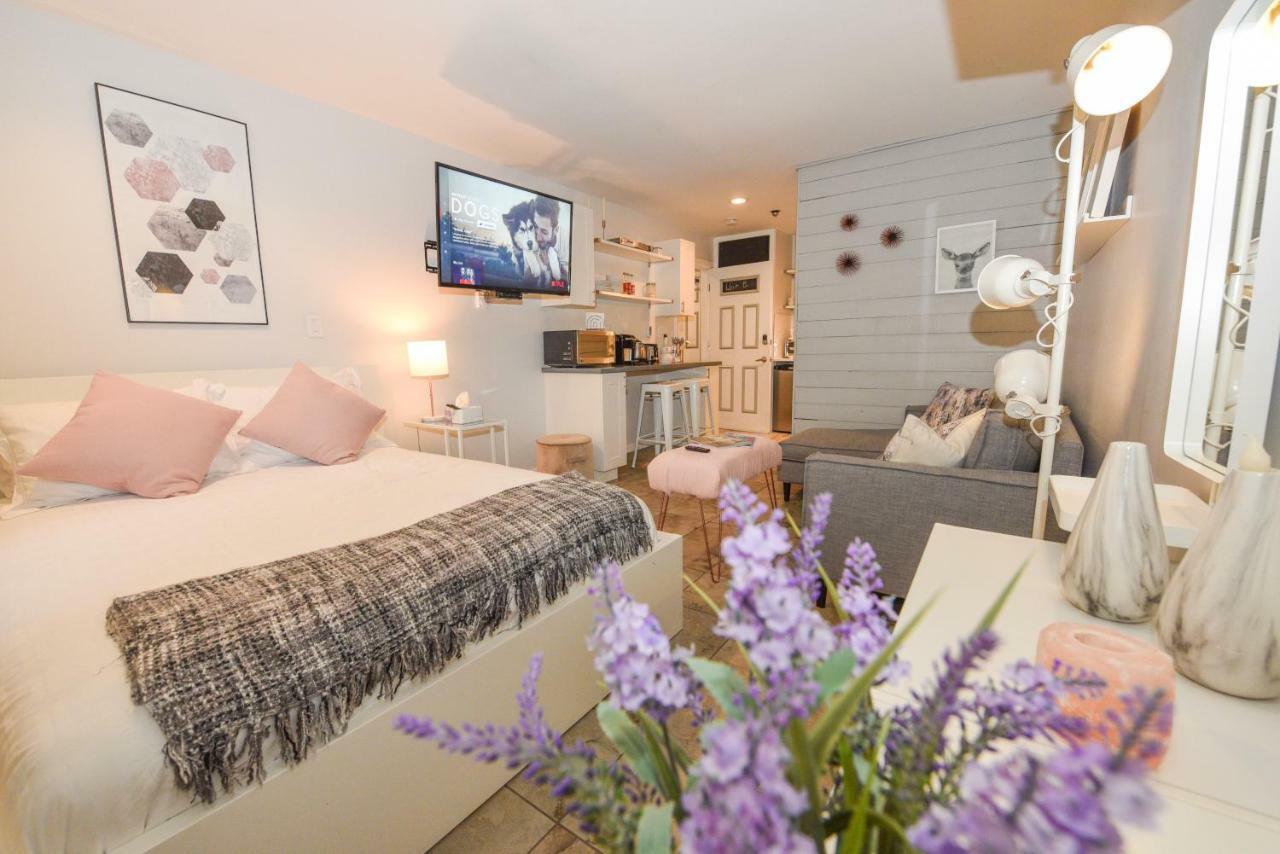 Newly Renovated Whistler Studio Dış mekan fotoğraf